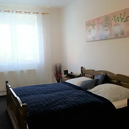 Pensión Arti